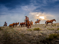 Ranch Herd at Dawn's Light II