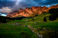 Swiss Mountain Meadow with Cows at Sunset II