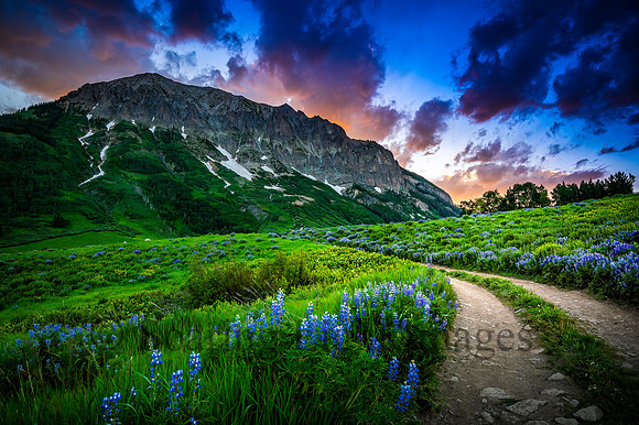 Road To Gothic Mountain
